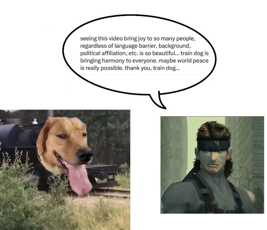 seeing this video bring joy to so many people, regardless of language barrier, background, political affiliation, etc. is so beautiful... train dog is bringing harmony to everyone. maybe world peace is really possible. thank you, train dog...