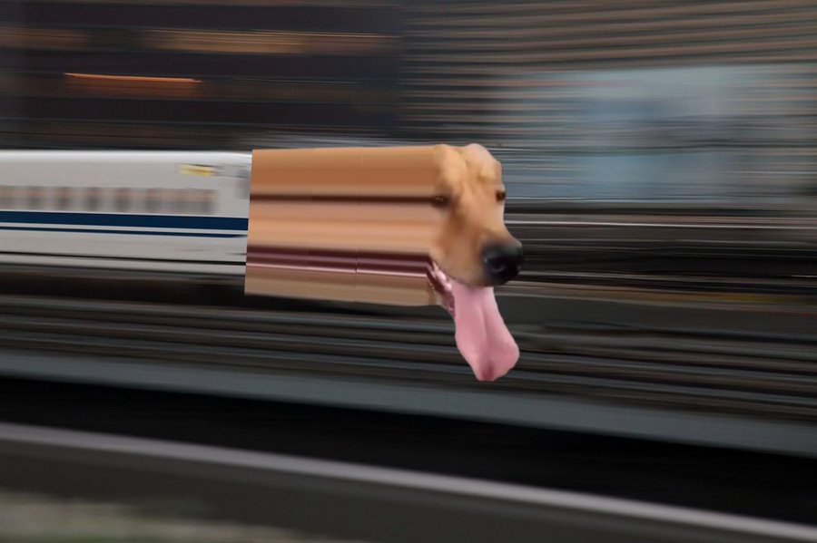 Train Dog in Japan