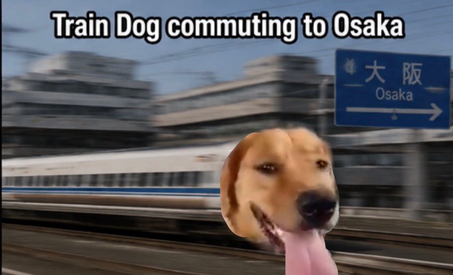 Train Dog commuting to Osaka 掸大阪 Osaka