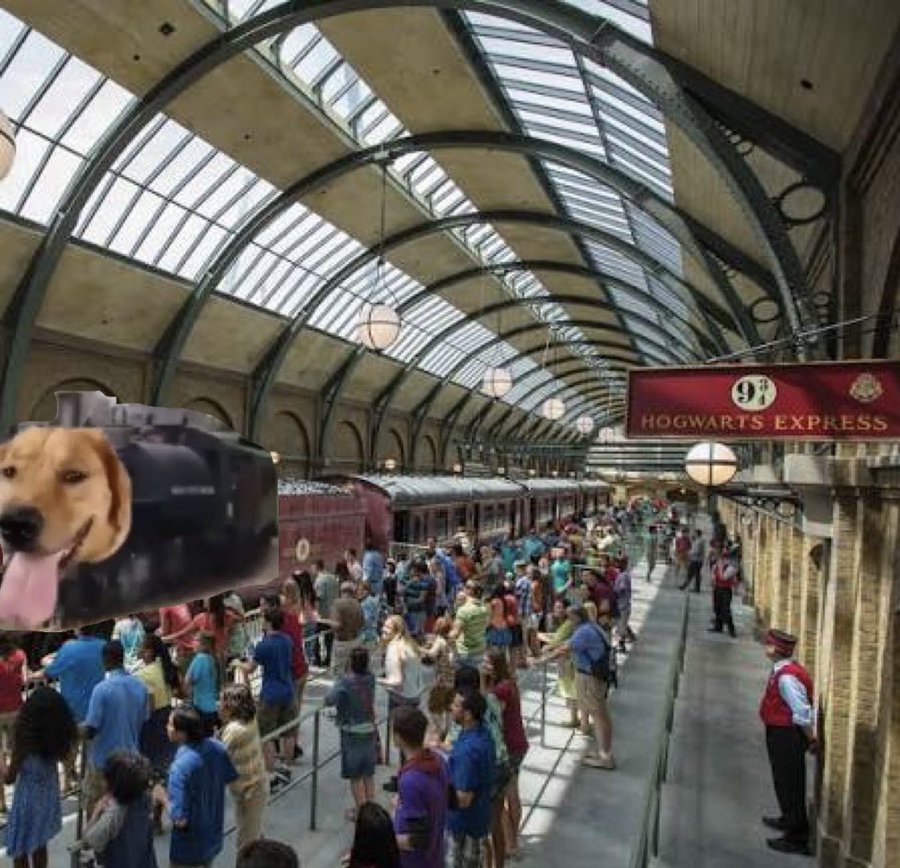 6 HOGWARTS EXPRESS