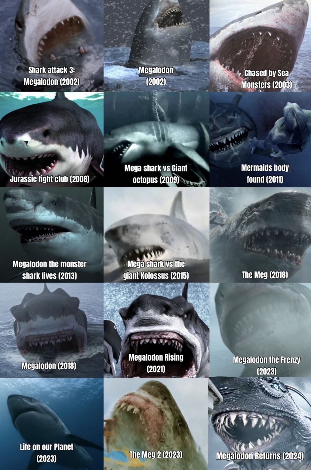 Shark attack 3: Megalodon (2002) Megalodon (2002) Chased by Sea Monsters (2003) Jurassic fight club (2008) Mega shark vs Giant octopus (2009) Mermaids body found (2011) Megalodon the monster shark lives (2013) 1333 Mega shark vs the giant Kolossus (2015) The Meg (2018) Megalodon (2018) Megalodon Rising (2021) Megalodon the Frenzy (2023) Life on our Planet (2023) The Meg 2 (2023) Megalodon Returns (2024)