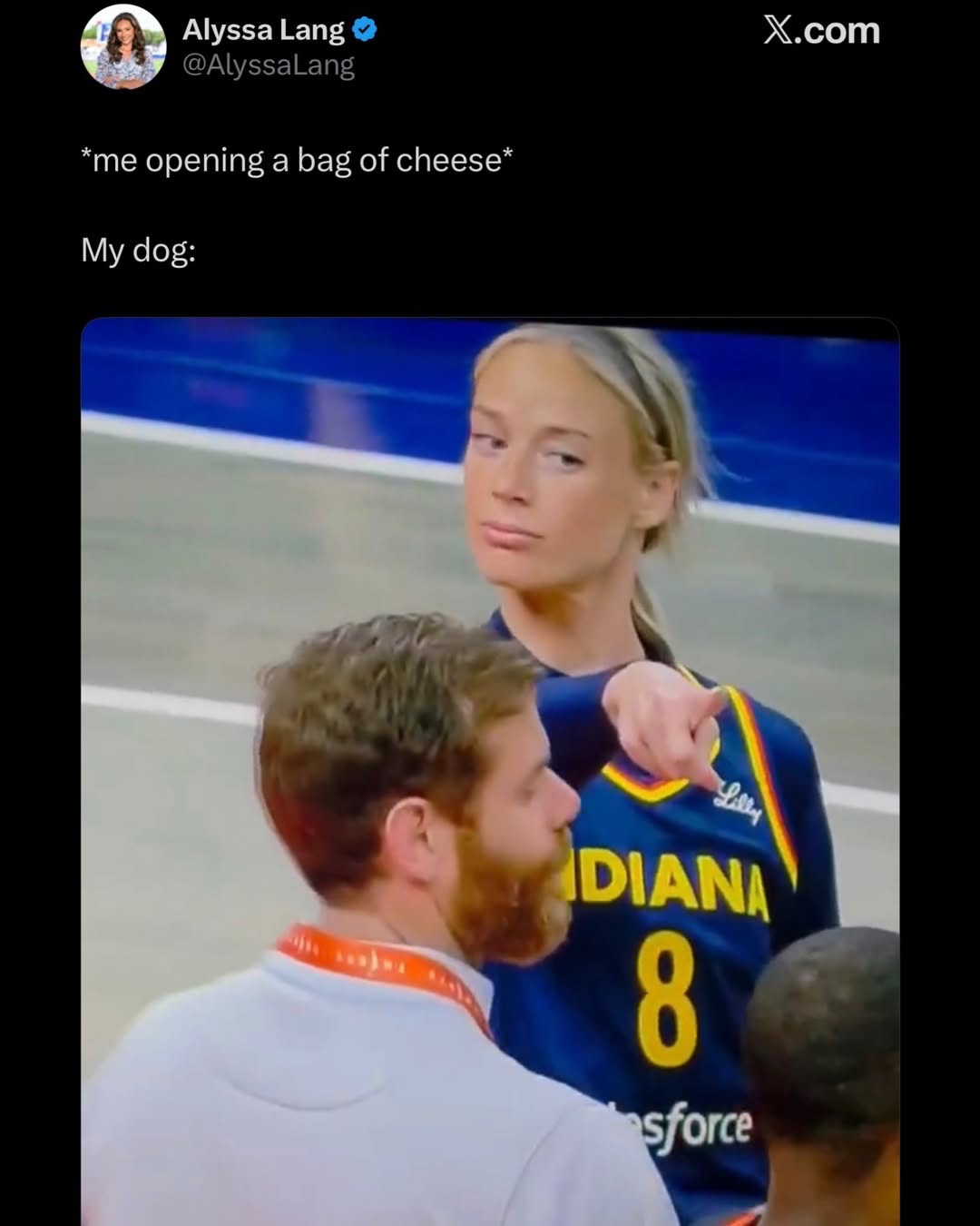 Alyssa Lang @AlyssaLang *me opening a bag of cheese* My dog: X.com Lilly DIANA 8 sforce
