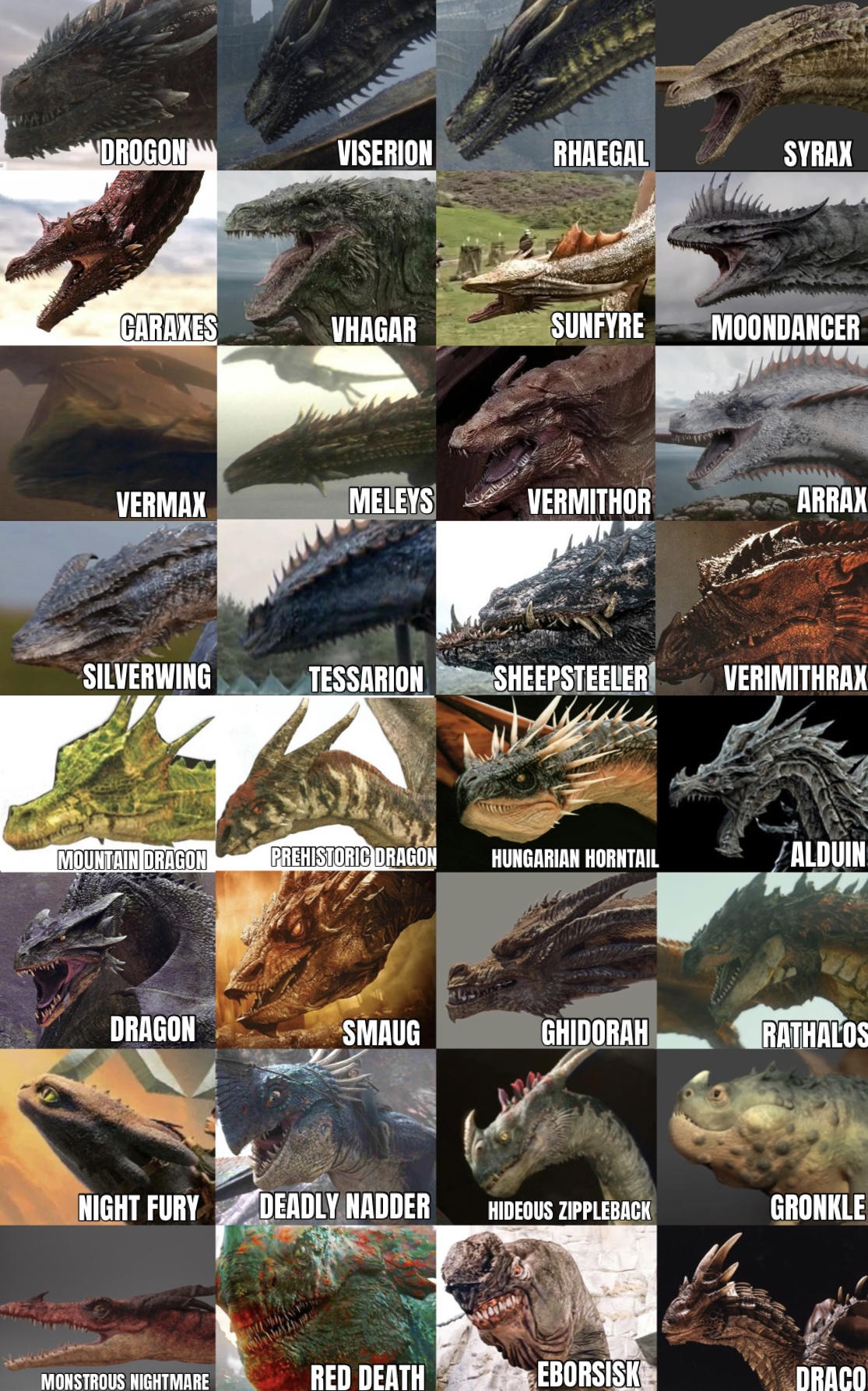 DROGON VISERION RHAEGAL SYRAX CARAXES VHAGAR SUNFYRE MOONDANCER VERMAX MELEYS VERMITHOR ARRAX SILVERWING TESSARION SHEEPSTEELER VERIMITHRAX MOUNTAIN DRAGON PREHISTORIC DRAGON HUNGARIAN HORNTAIL ALDUIN DRAGON SMAUG GHIDORAH RATHALOS NIGHT FURY DEADLY NADDER HIDEOUS ZIPPLEBACK GRONKLE MONSTROUS NIGHTMARE RED DEATH EBORSISK DRACO