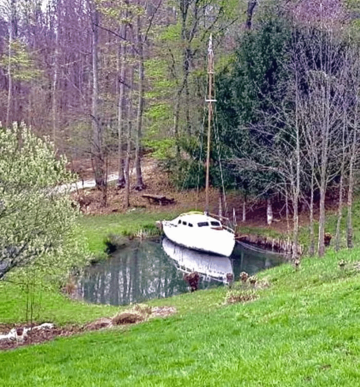 Out on the pond