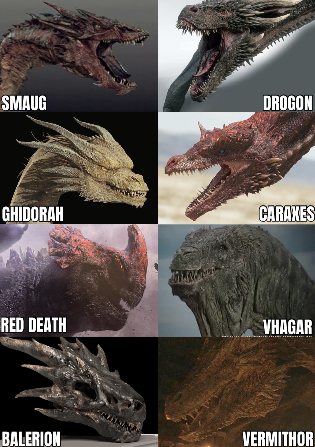 SMAUG DROGON GHIDORAH CARAXES RED DEATH VHAGAR BALERION VERMITHOR