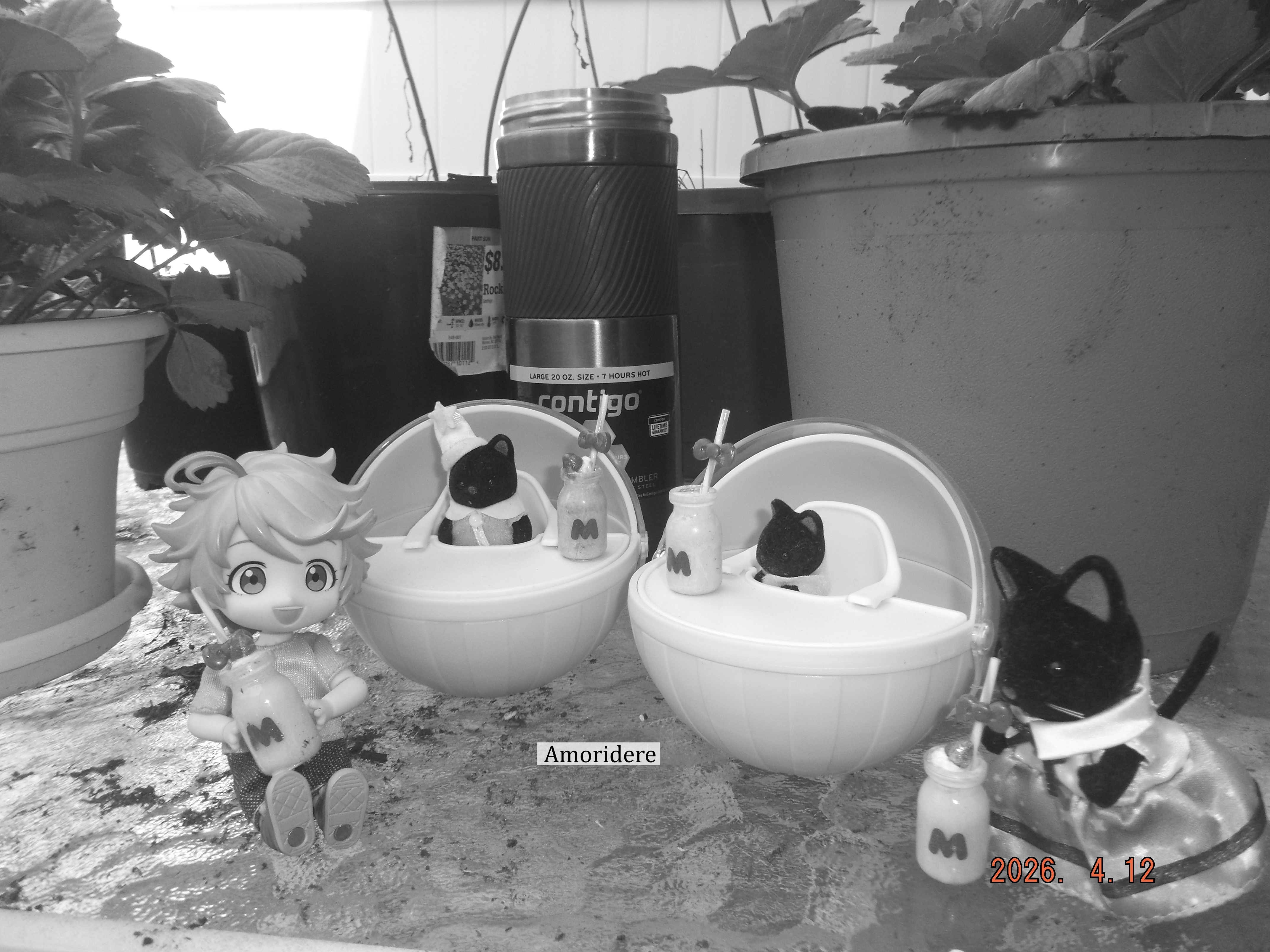 She thinks these kids are unusual but, overall, they make lovely company.