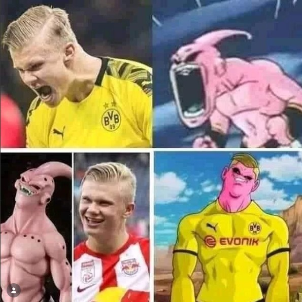 BVB 12 BB EVONIK