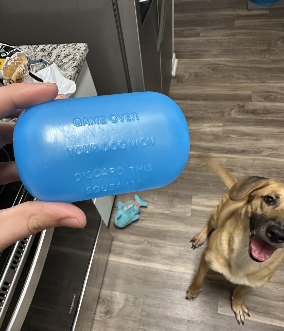 GAME OVER YOUR DOG WON DISCARD THIS