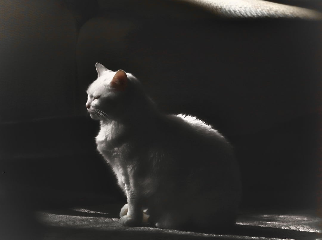 Just resting
