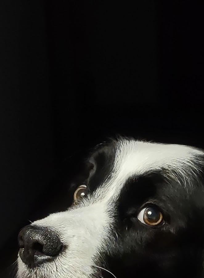 Who's there?