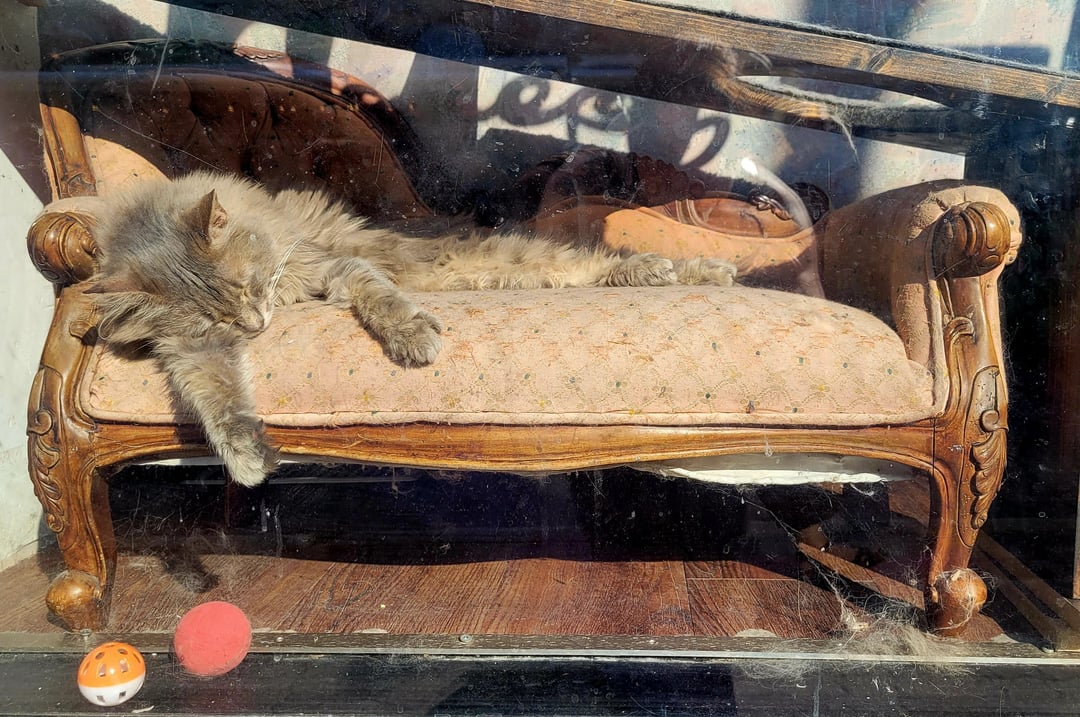Snoozing