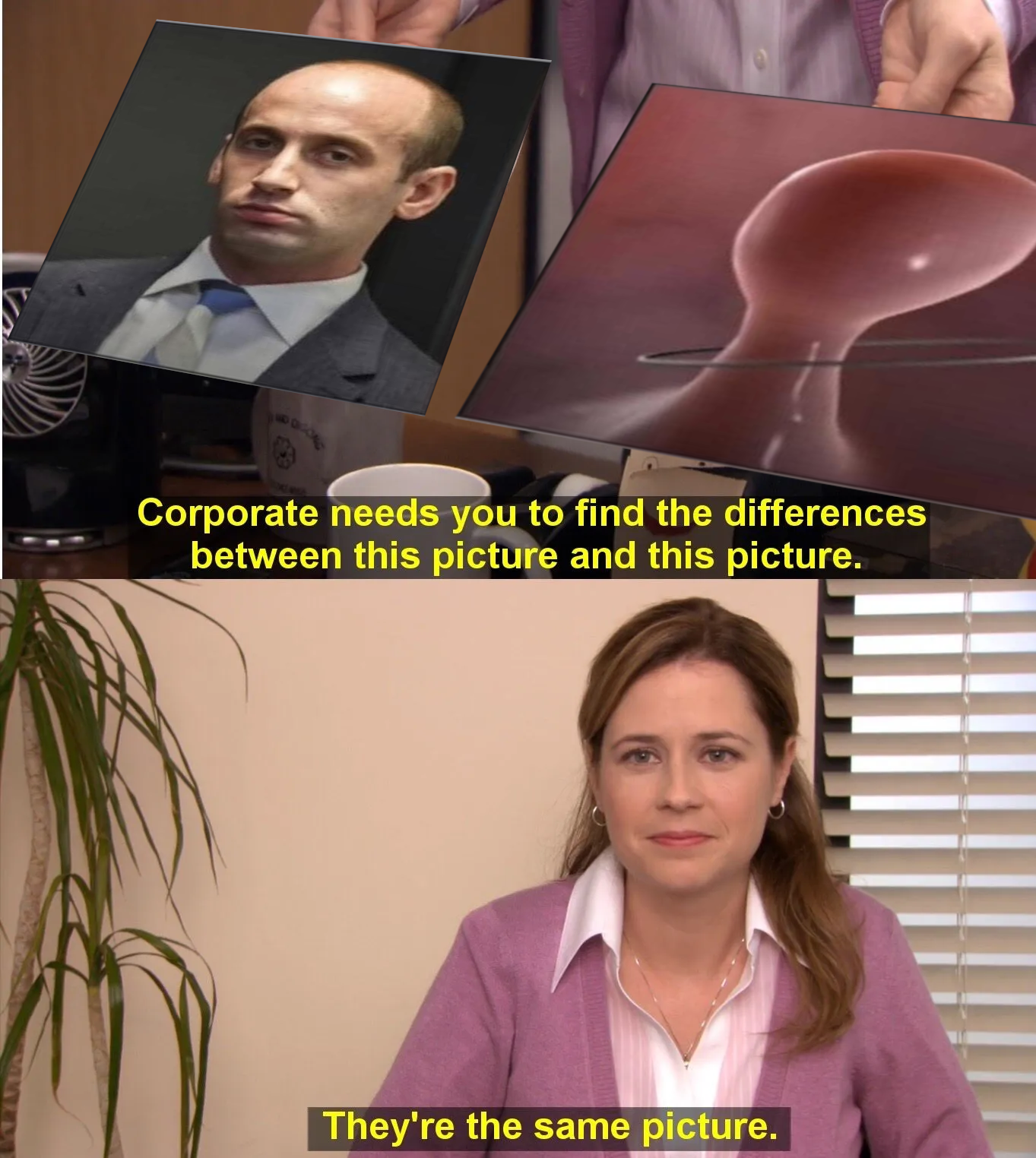Corporate needs you to find the differences between this picture and this picture. They're the same picture.