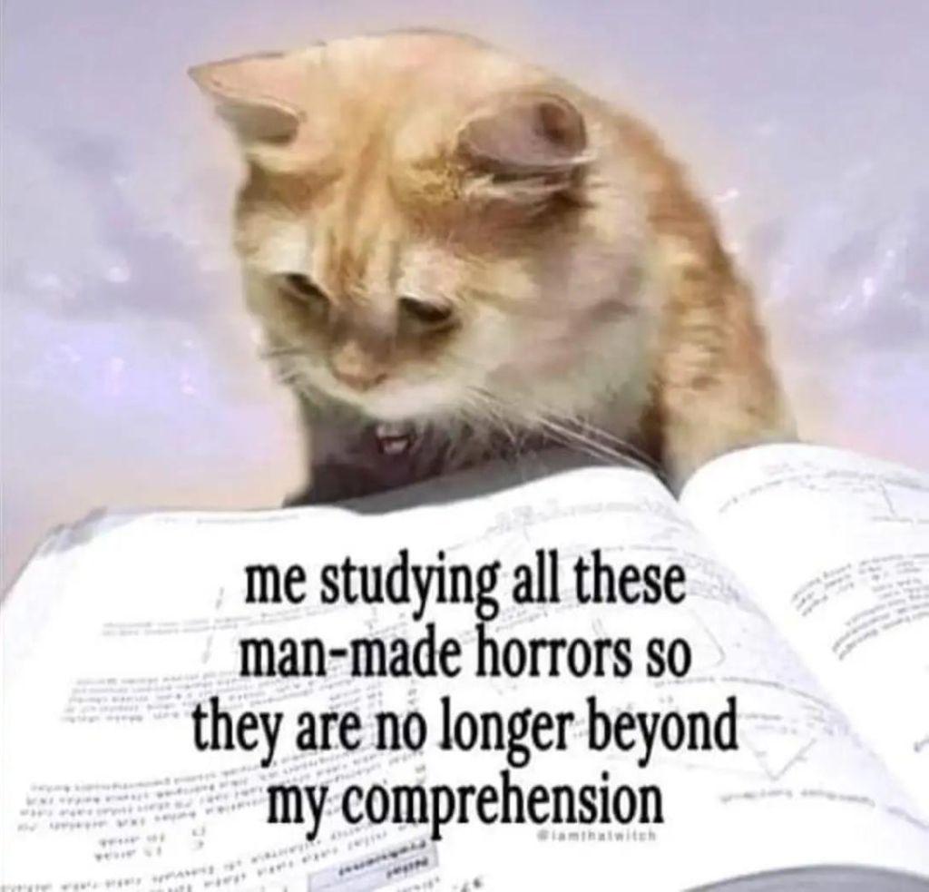 me studying all these man-made horrors so they are no longer beyond my comprehension