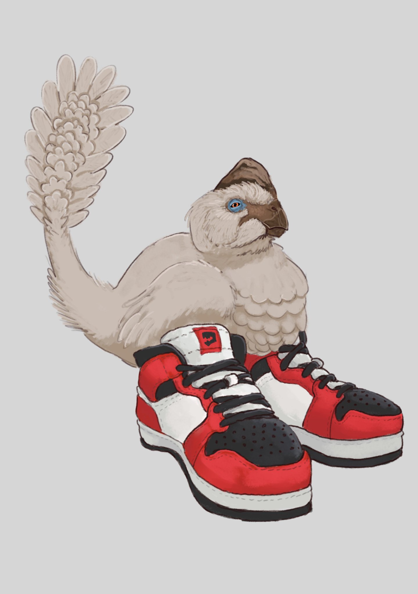 Oviraptor got them shoes one