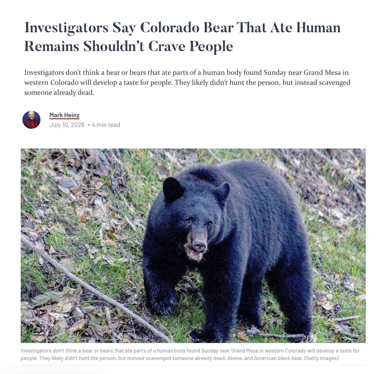 Investigators Say Colorado Bear That Ate Human Remains Shouldn't Crave People Investigators don't think a bear or bears that ate parts of a human body found Sunday near Grand Mesa in western Colorado will develop a taste for people. They likely didn't hunt the person, but instead scavenged someone already dead. Mark Heinz July 10, 2026▪ 4 min read Investigators don't think a bear or bears that ate parts of a human body found Sunday near Grand Mesa in western Colorado will develop a taste for people. They likely didn't hunt the person, but instead scavenged someone already dead. Above, and American black bear. (Getty Images)