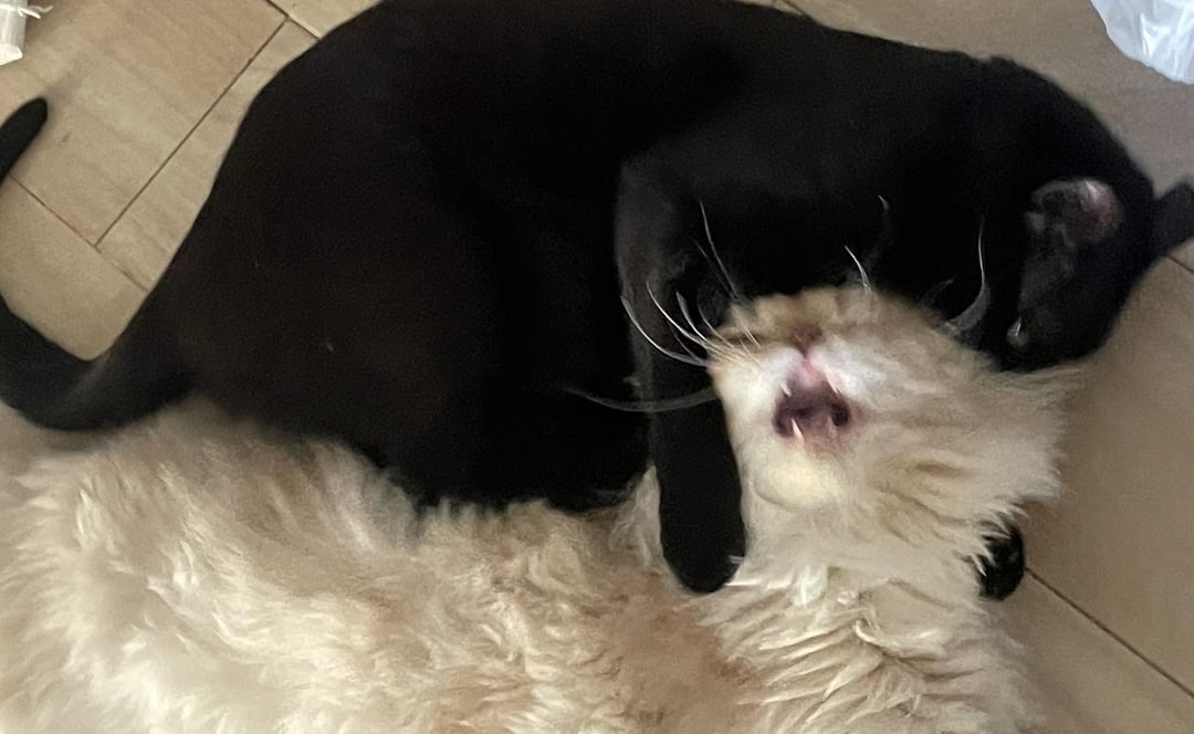 Attack