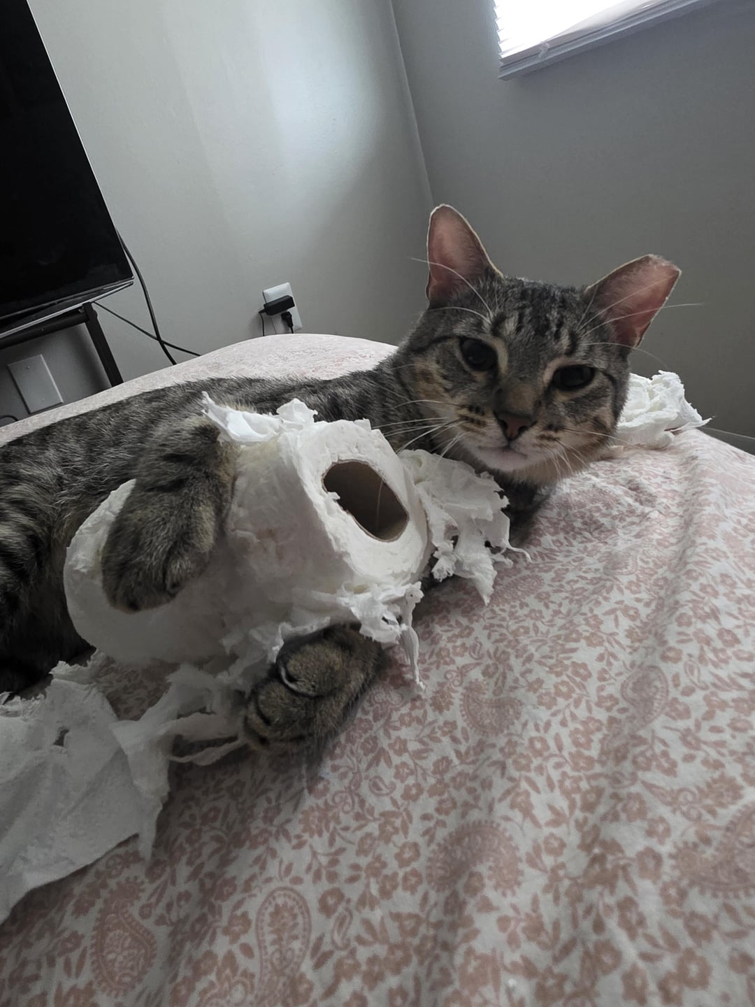 Now what?