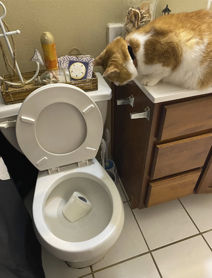 Hmm..