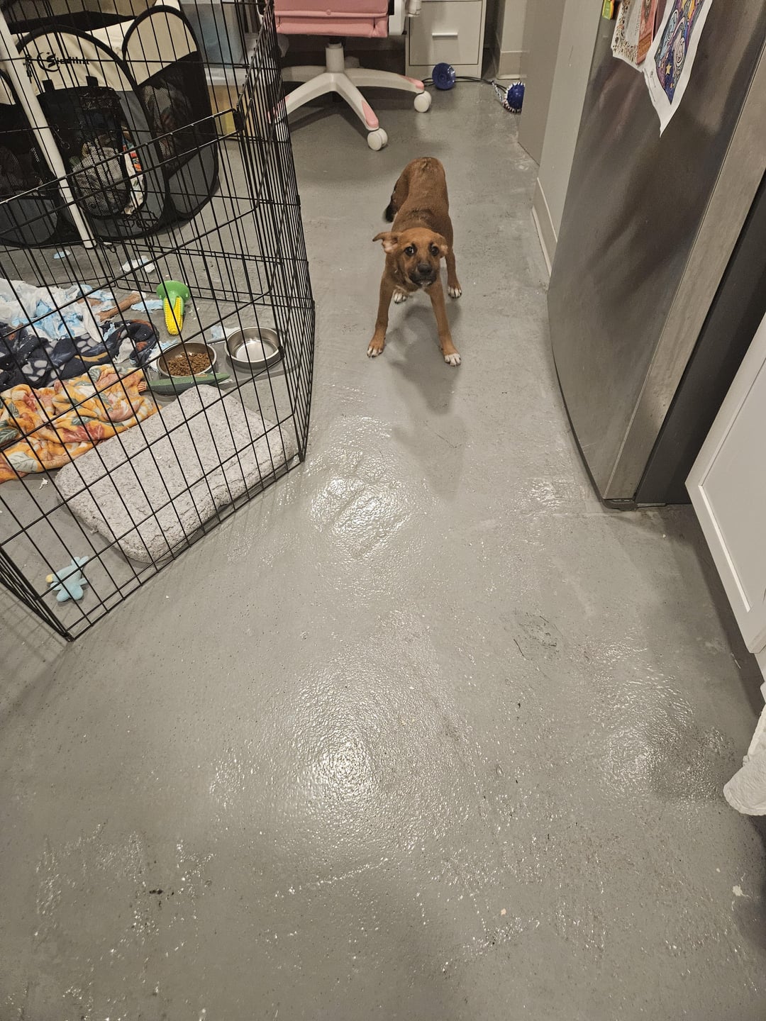 He's supposed to be in that pen