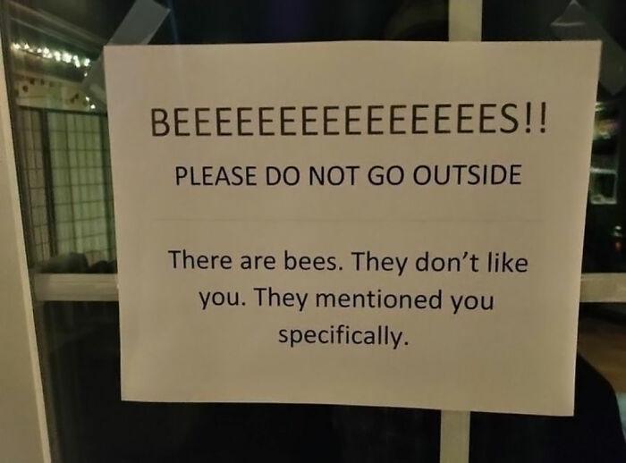 BEEEEEEEEEEEEEEES!! PLEASE DO NOT GO OUTSIDE There are bees. They don't like you. They mentioned you specifically.