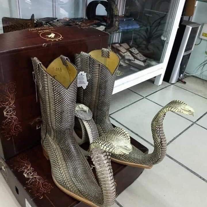 311