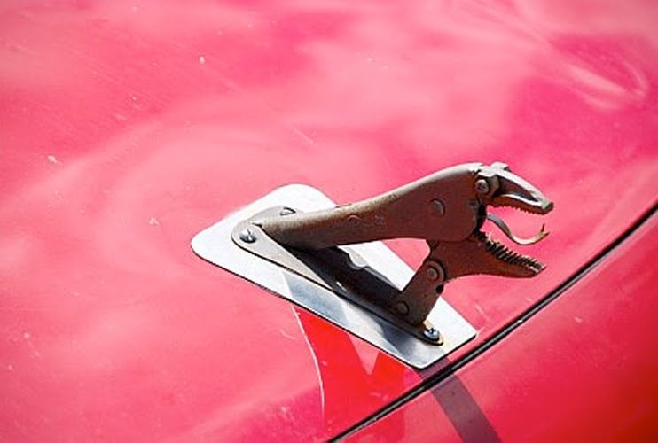 This hood ornament