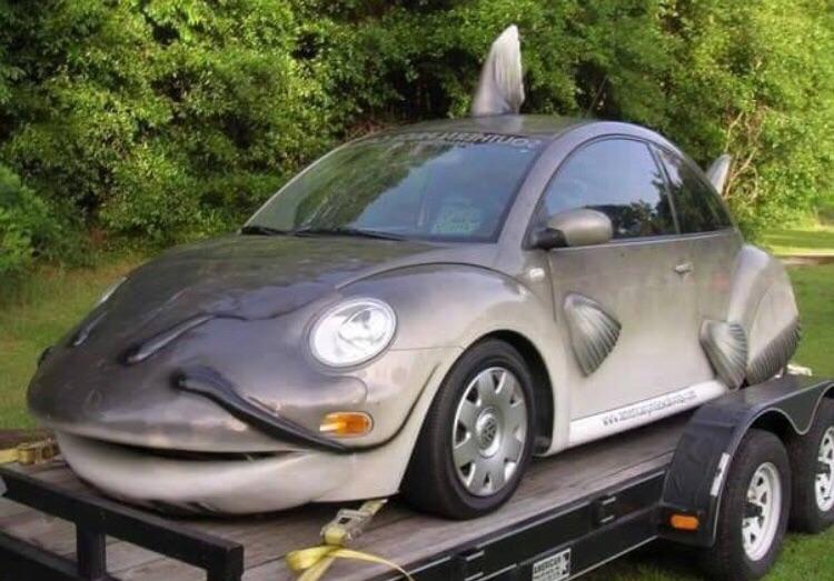 Catfish car