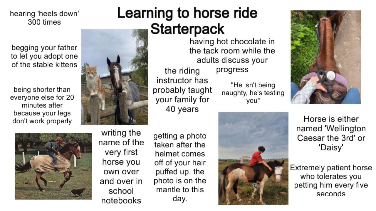 hearing 'heels down' 300 times begging your father to let you adopt one of the stable kittens Learning to horse ride Starterpack having hot chocolate in the tack room while the adults discuss your the riding progress being shorter than everyone else for 20 minutes after because your legs don't work properly writing the name of the very first horse you own over and over in school notebooks instructor has "He isn't being probably taught naughty, he's testing your family for 40 years getting a photo taken after the helmet comes off of your hair puffed up. the photo is on the Imantle to this day. you" Horse is either named 'Wellington Caesar the 3rd' or 'Daisy' Extremely patient horse who tolerates you petting him every five seconds