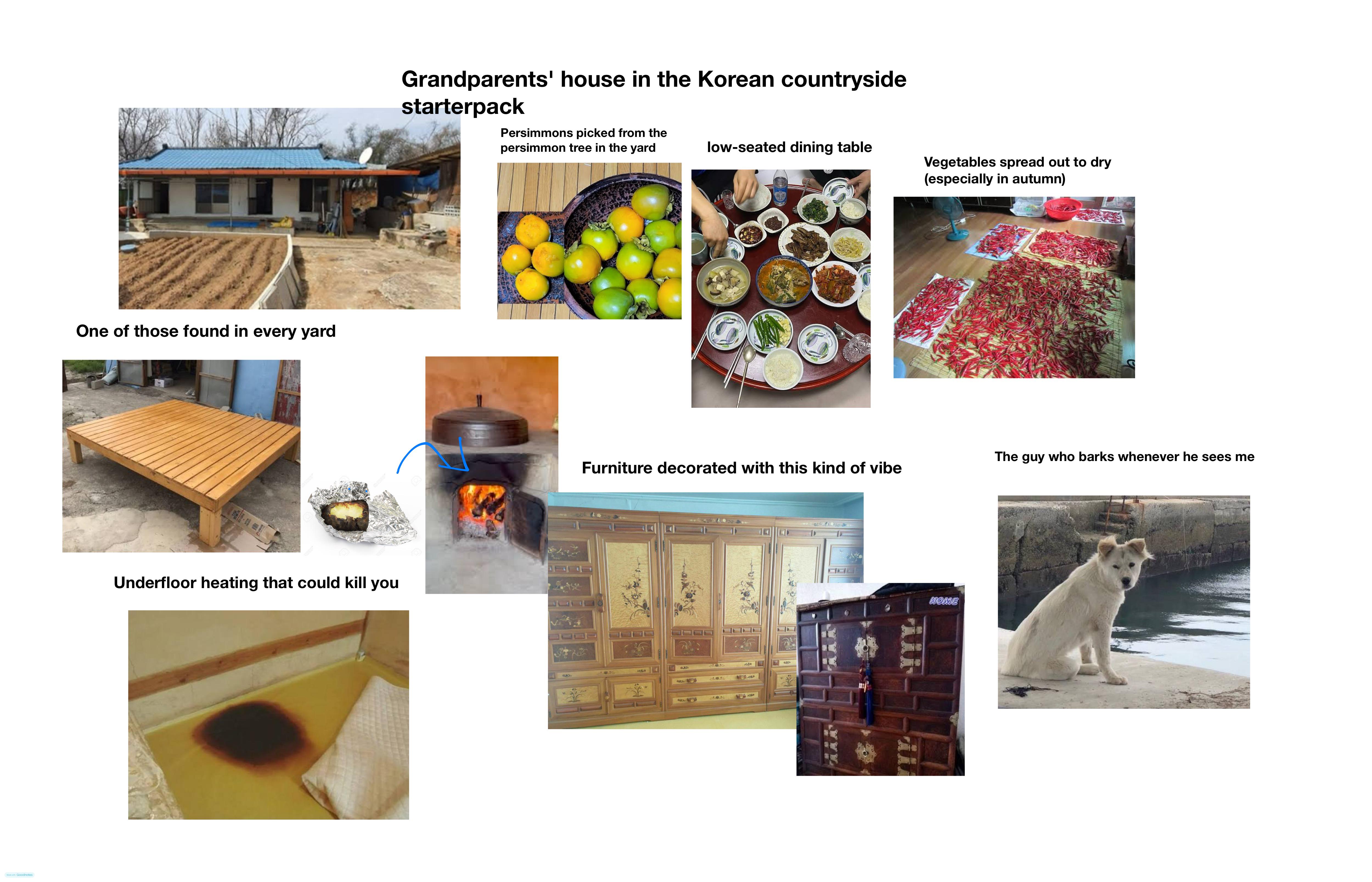 Made with Goodnotes One of those found in every yard Underfloor heating that could kill you Grandparents' house in the Korean countryside starterpack Persimmons picked from the persimmon tree in the yard low-seated dining table Vegetables spread out to dry (especially in autumn) வ The guy who barks whenever he sees me Furniture decorated with this kind of vibe A A ex HOME