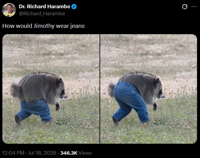 Dr. Richard Harambe @Richard Harambe How would Jimothy wear jeans 12:04 PM - Jul 18, 2026 - 346.3K Views
