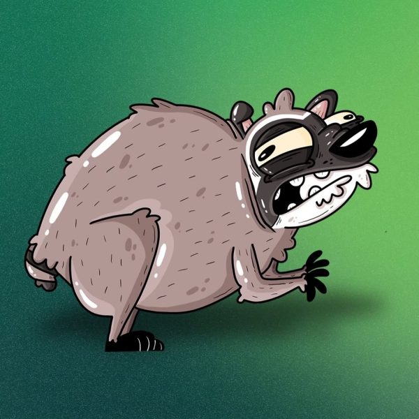 Jimothy the Raccoon