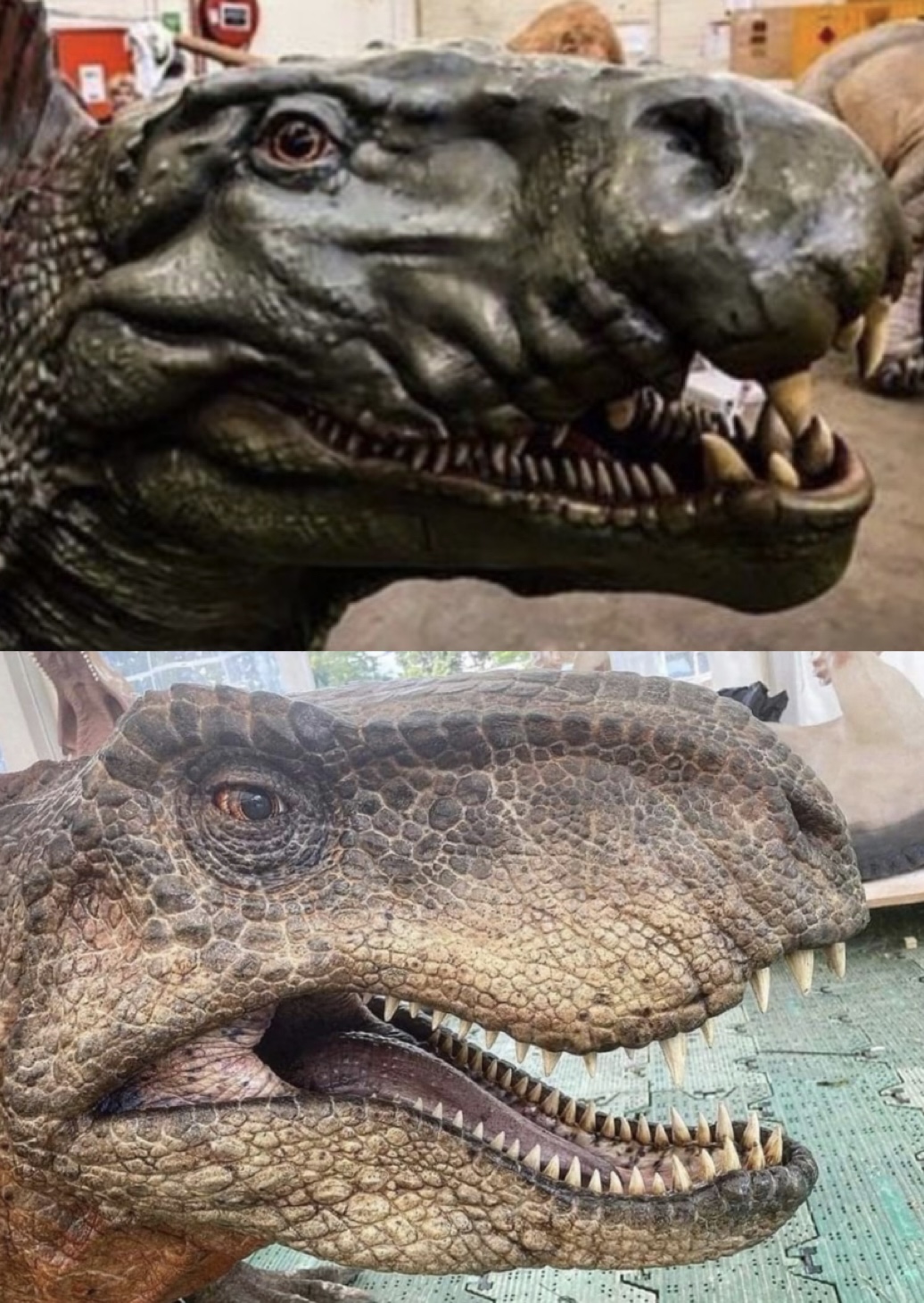 Dimetrodon