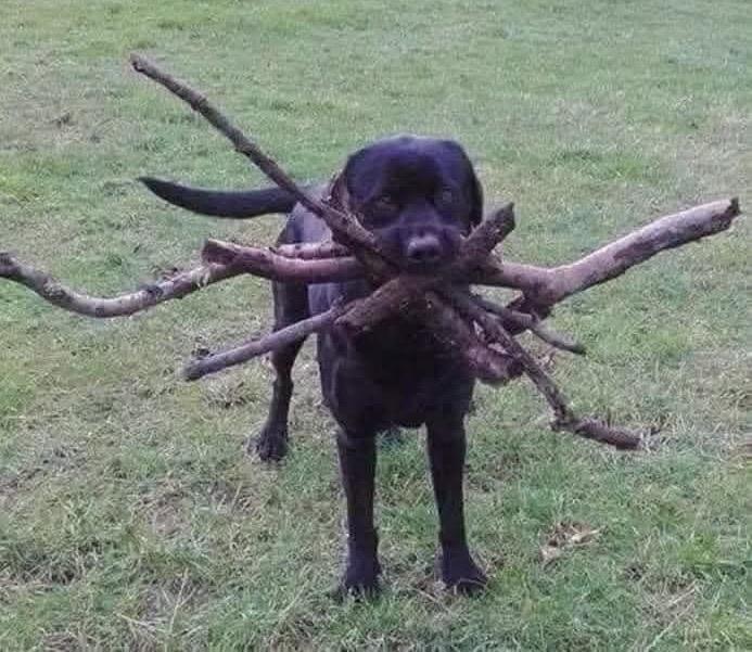 Too many sticks