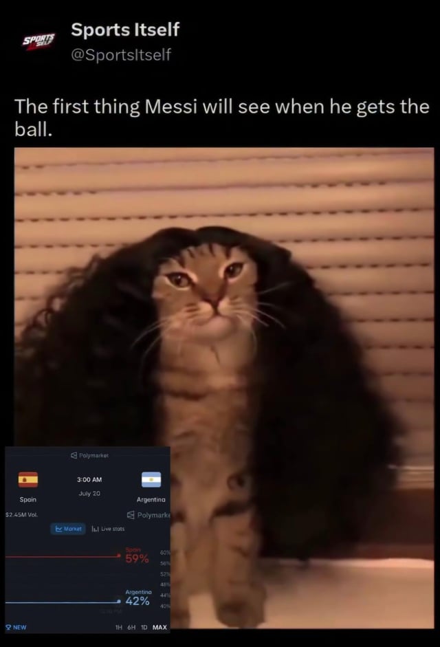 meme example 4