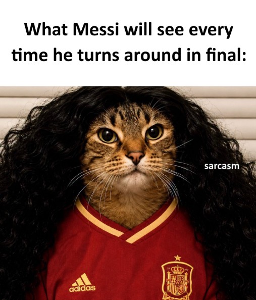 meme example 3