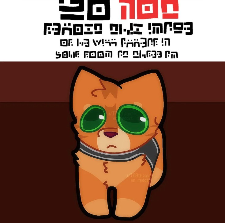 EBJW; 37″-10 OZOYE) OFWARE! SOLIF FOOM (2 21,633 PM u/Techpaste of eddit u/100thpas on reddi