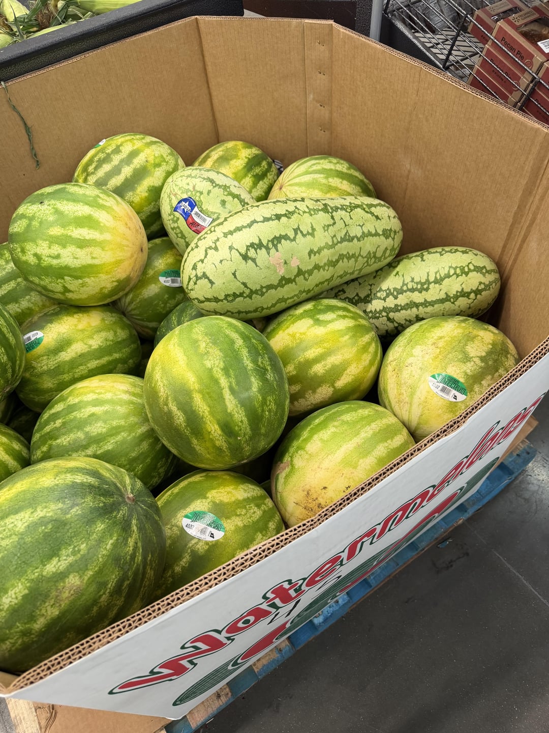 MELON