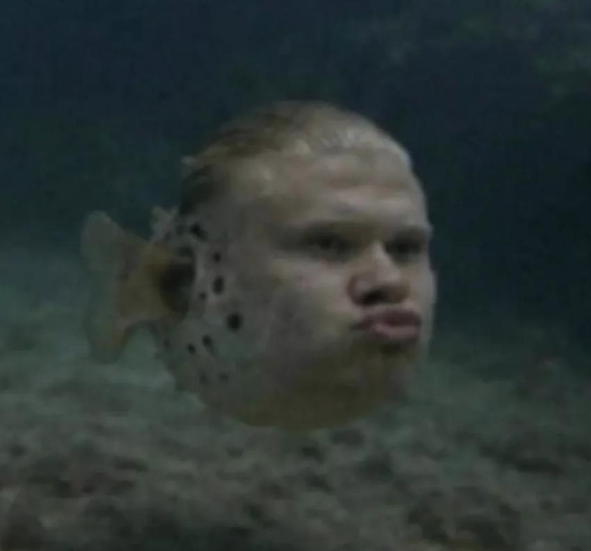 Herring Haaland | /r/dankmemes