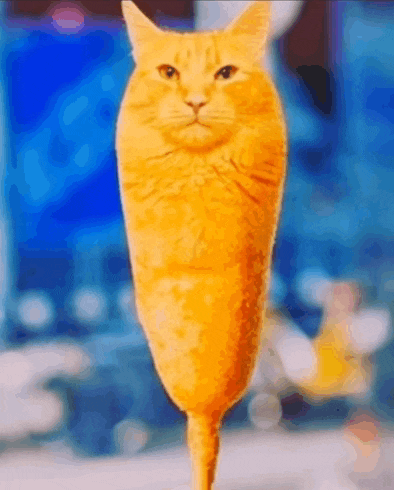 Corncat Meme