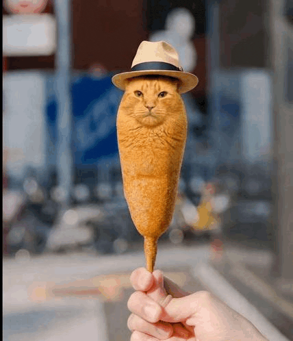 Corn Dog Cat Hat