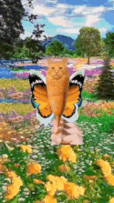 Corn Dog Cat Explosion GIF