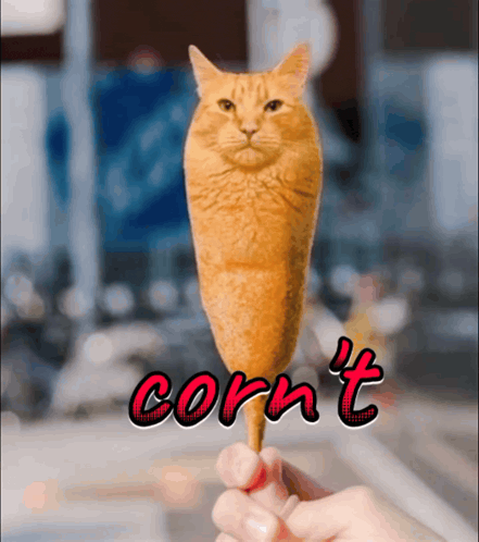 corn't