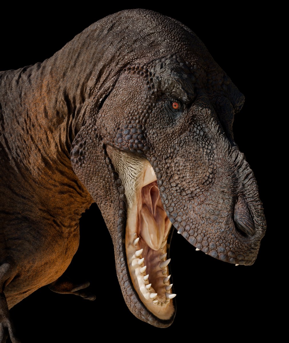 T.rex