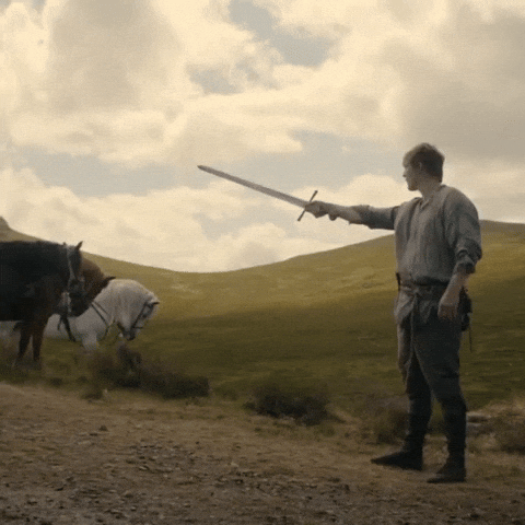 Stop X, Ser Blank GIF