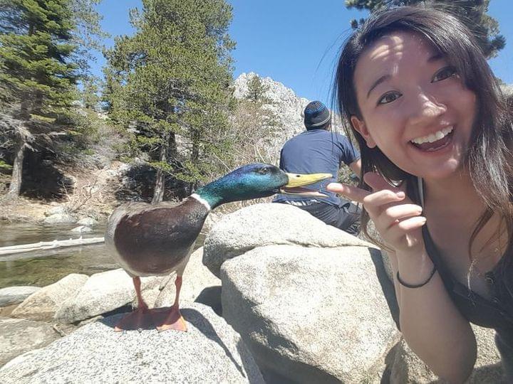 Duck bite