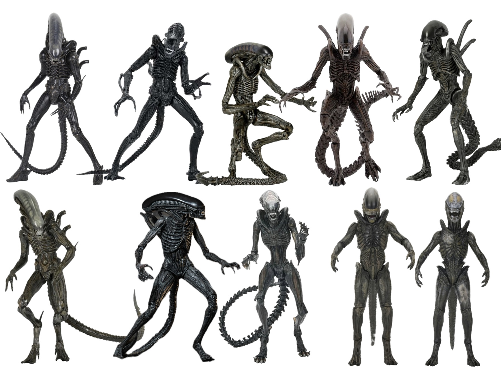 Neca xenomorph evolution 