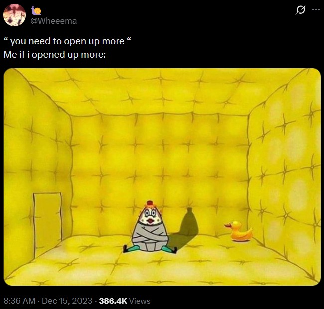 @Wheeema "you need to open up more " Me if i opened up more: 0 8:36 AM - Dec 15, 2023-386.4K Views ++ *