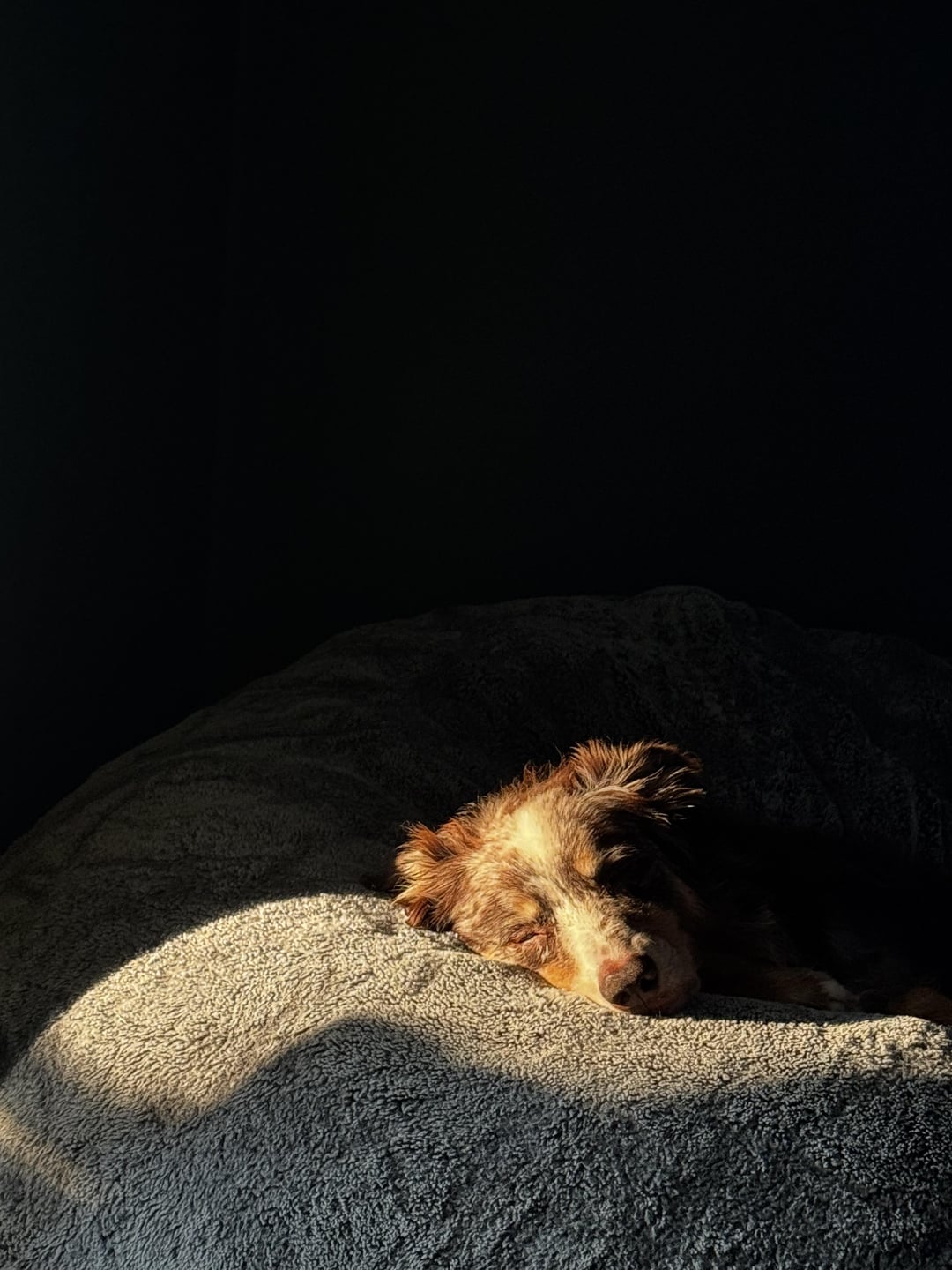 Afternoon nap
