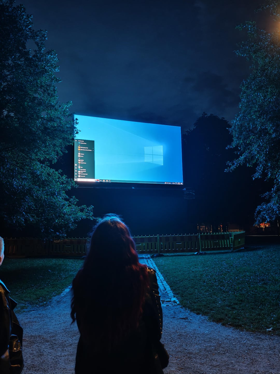 Windows in the park