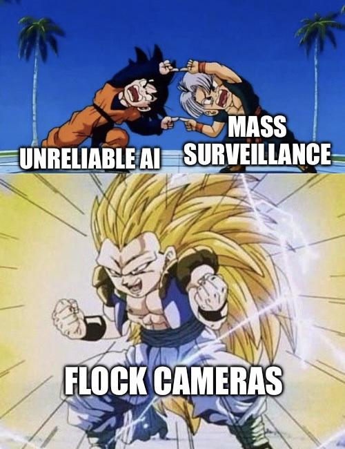 MASS UNRELIABLE AI SURVEILLANCE FLOCK CAMERAS